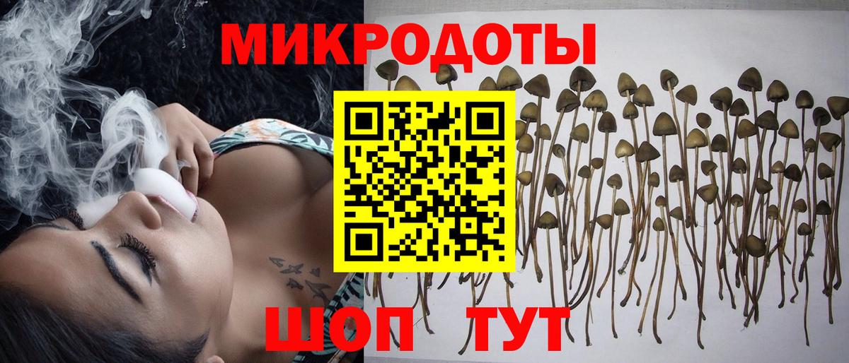 Галлюциногенные грибы MAGIC MUSHROOMS Кольчугино