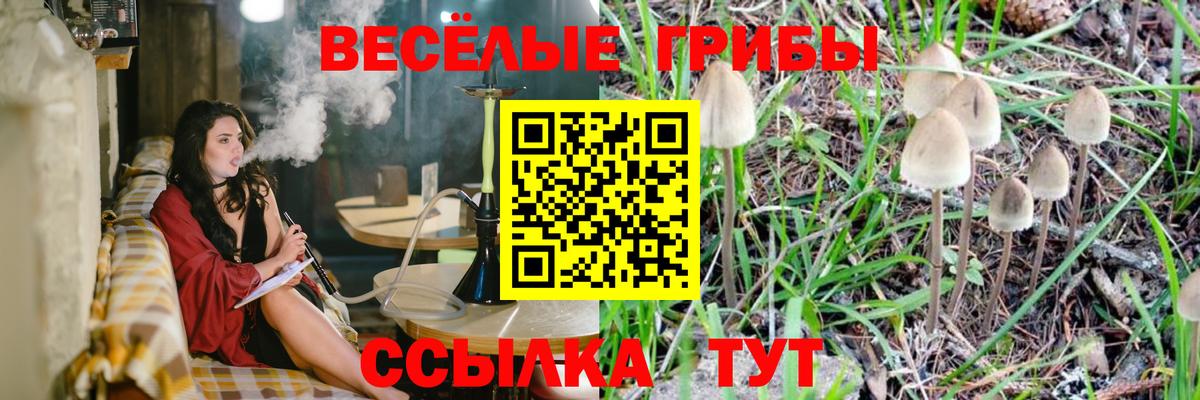 Кольчугино  Галлюциногенные грибы Psilocybine cubensis  Вход с VPN  Псилоцибиновые грибы мухоморы 